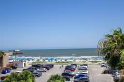 Oceanfront Garden