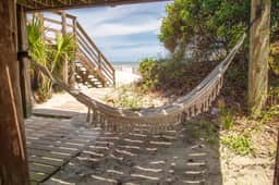 Oceanfront Nest Down