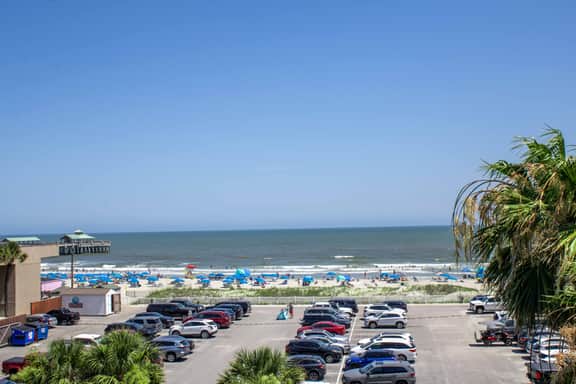 Oceanfront Garden