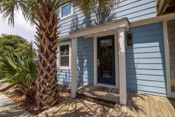 Oceanfront Nest Down