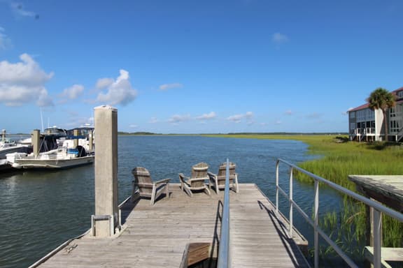 Marsh Nest